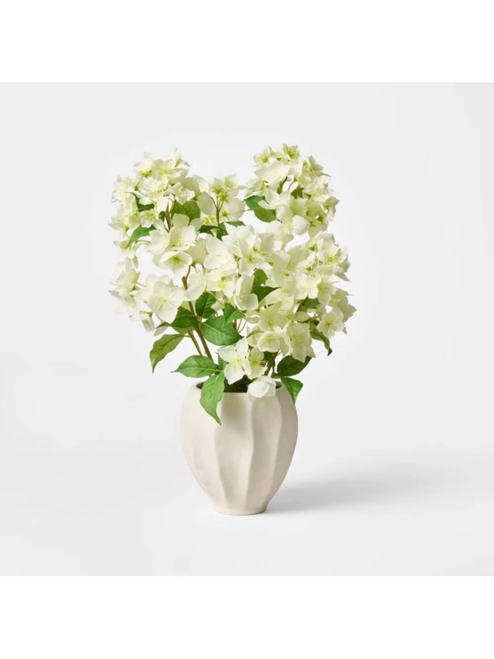 Hydrangea Arrangement Cream with Scallop Vase Threshold designed w/ Studio McGee